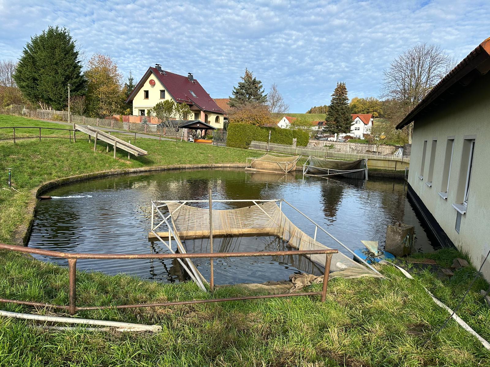 Blick auf die Teiche der Fischzucht Birkhausen