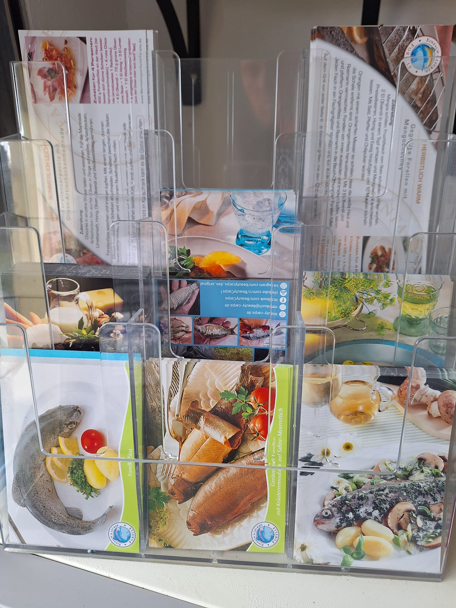 Prospekte der Fischzucht Birkhausen als Symbol für das Netzwerk